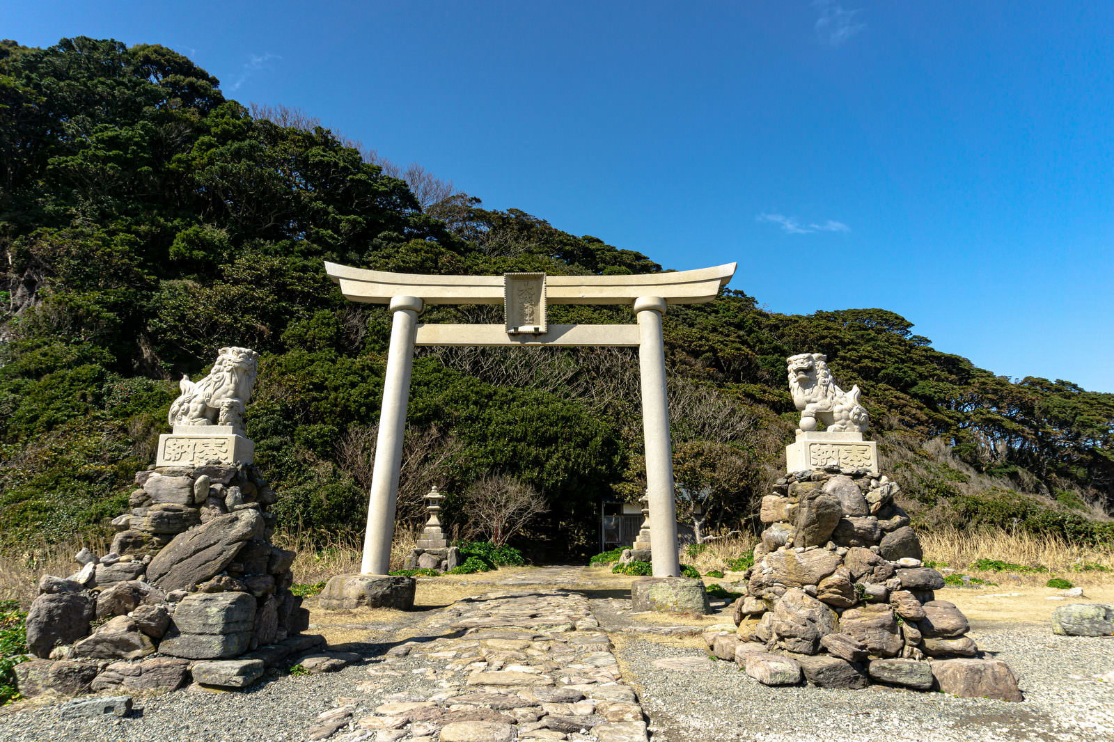 青空の下、白い鳥居と両側の狛犬が見える大湊神社の参道