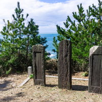 東尋坊荒磯遊歩道脇に海に向かって建つ句碑を遊歩道側から見るの写真
