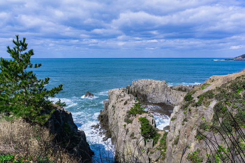荒磯遊歩道あたりから見る切り立った東尋坊の岩壁と千畳敷の観光客