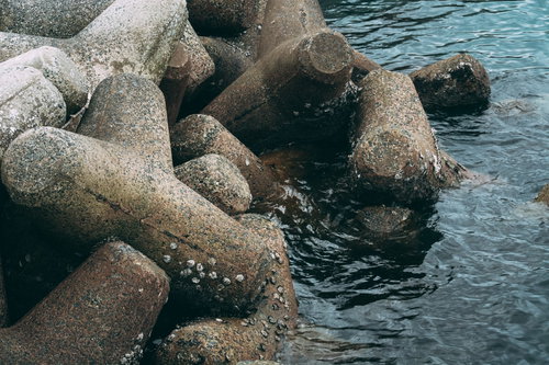 フジツボが付着したテトラポット