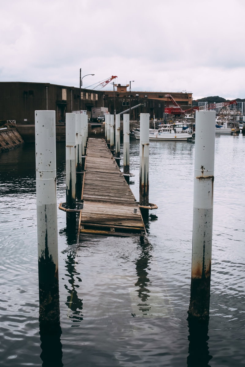 海面に立つ木製の杭と崩れ落ちた桟橋の残骸