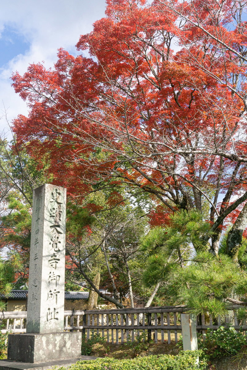境内に立つ史蹟大覚寺御所址の石碑と背景の赤い紅葉