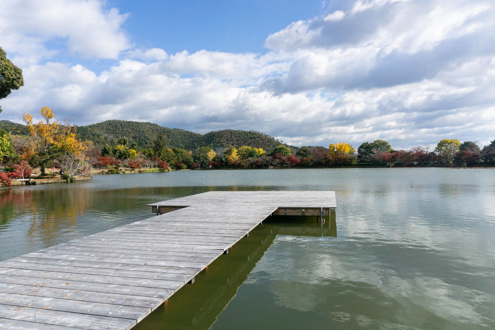 大覚寺の大沢池に伸びる木製の池舞台と秋の紅葉風景