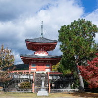 紅葉時期の大覚寺心経宝塔（しんぎょうほうとう）の写真