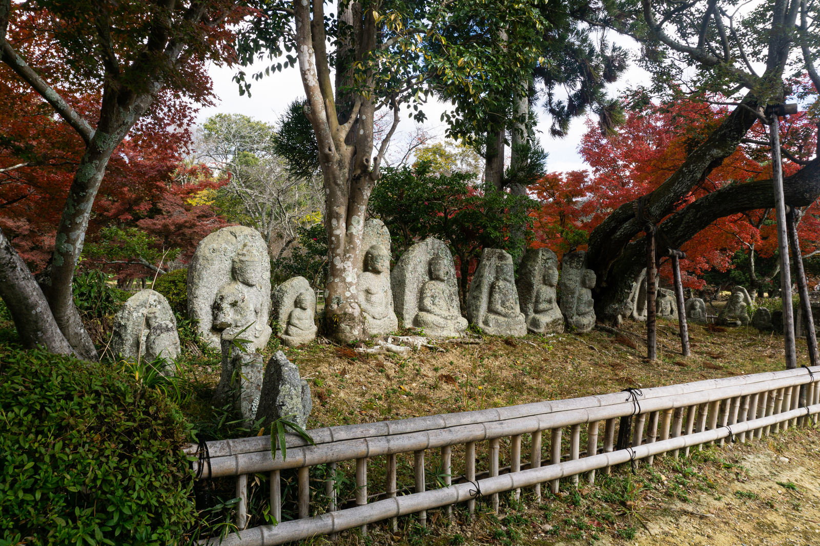 大覚寺大沢池北岸に並ぶ石仏群と紅葉