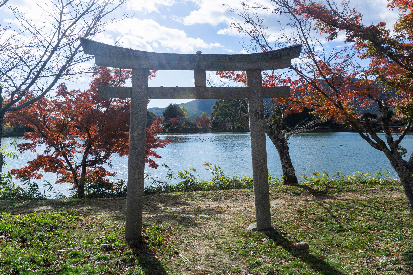大沢池の天神島にある石の鳥居から池を望む秋の風景
