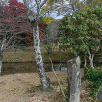 天神島に立つ「いけばな発祥の地」の石碑の写真