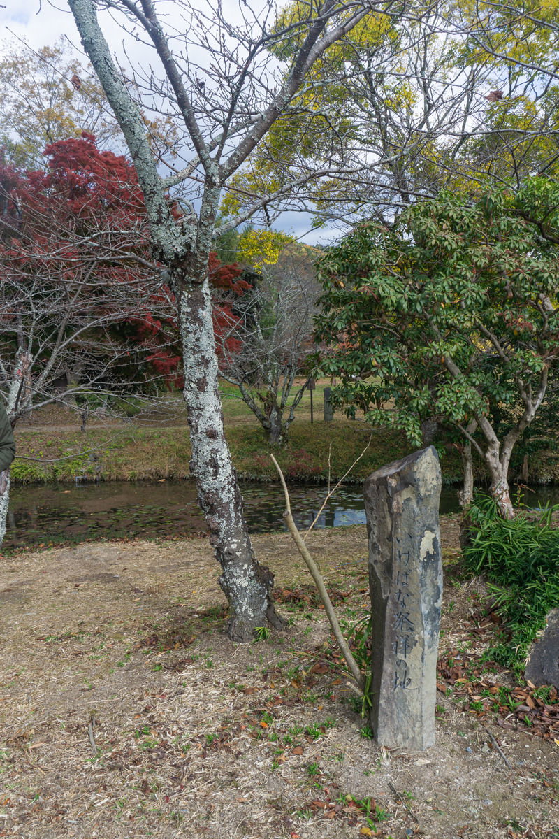 大沢池の天神島に建つ「いけばな発祥の地」と刻まれた石碑