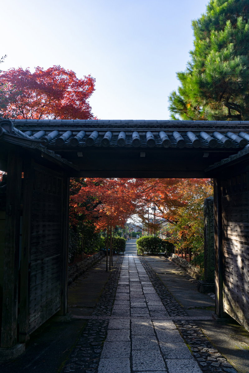 龍安寺の総門を反対側から見た紅葉の風景、石畳の参道と色とりどりの秋の木々