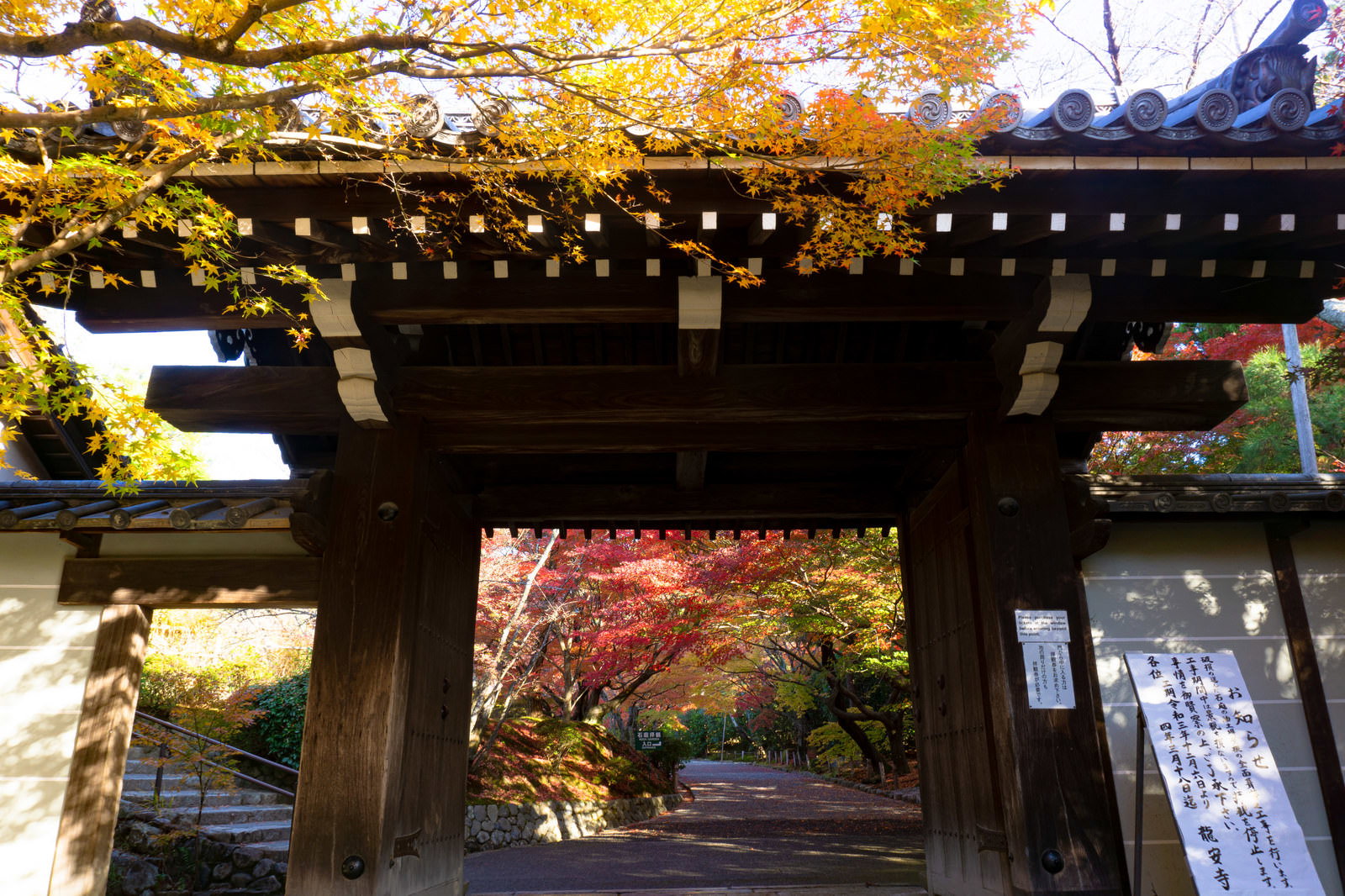 色鮮やかな紅葉に囲まれた龍安寺の黒い瓦屋根の山門