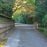 風情ある竹の塀と紅葉し始めた木に誘われて覗く脇道の風景の写真