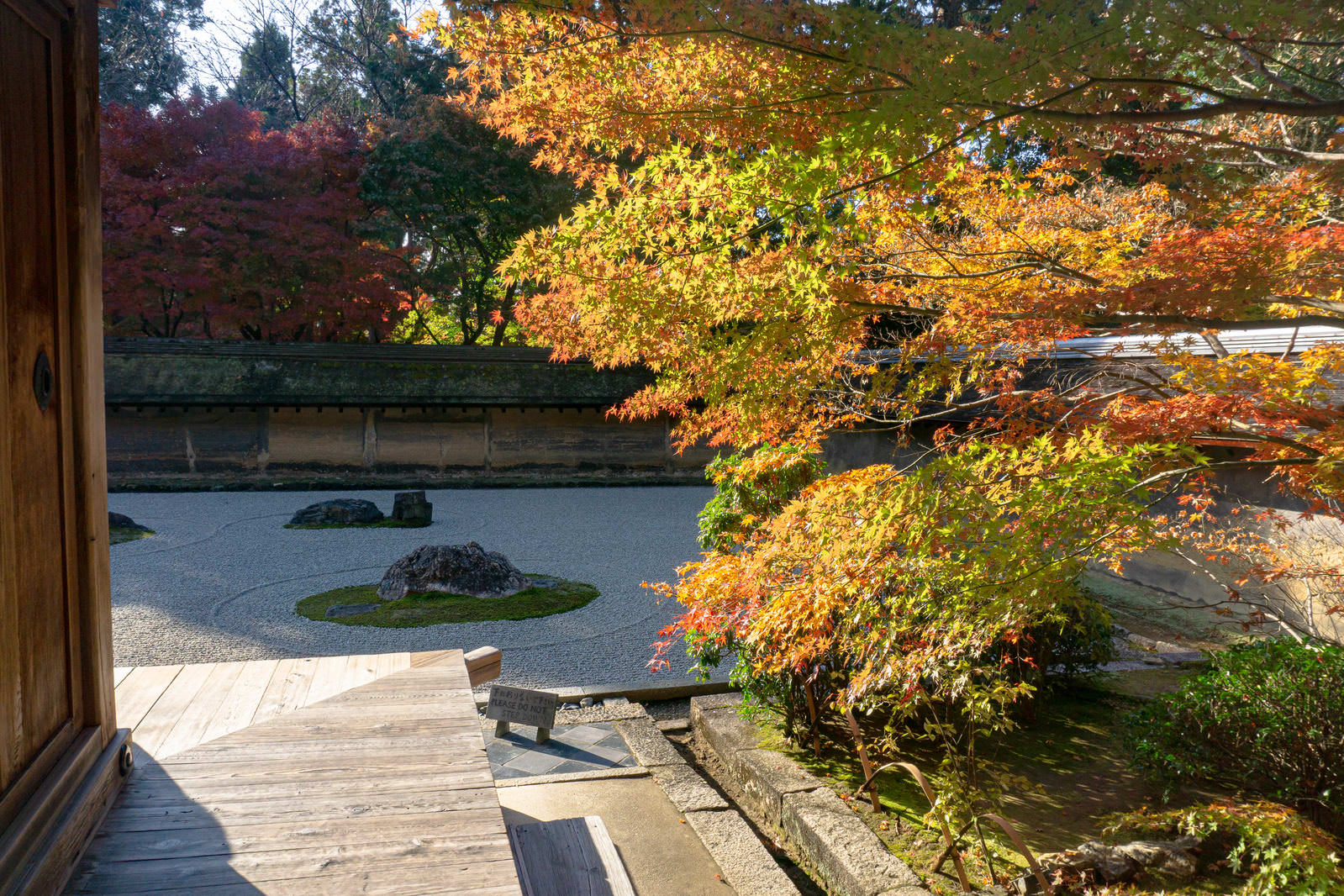 龍安寺の石庭を背景に、手前で黄色く色づいた紅葉の枝が広がる秋の風景