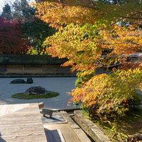 色づき始めた紅葉とその向こうに見える石庭の写真