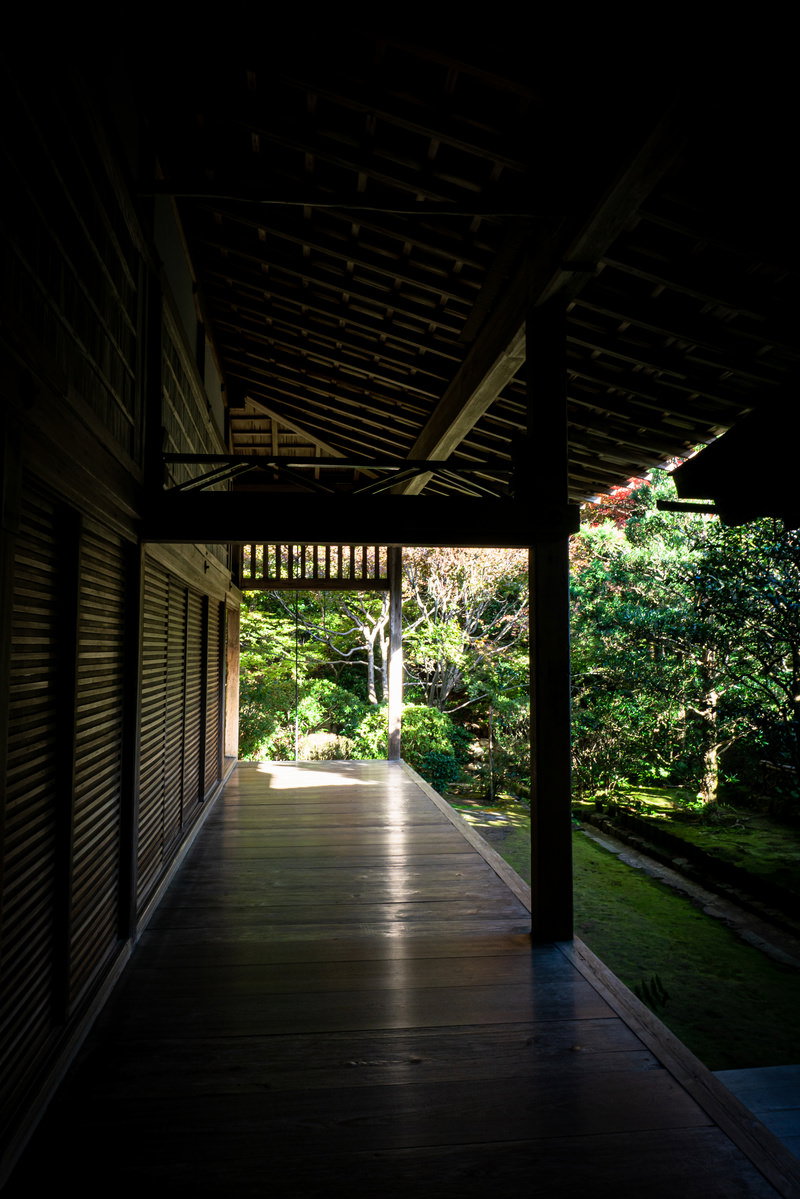 龍安寺の方丈から続く磨き込まれた木製の廊下と緑の庭園