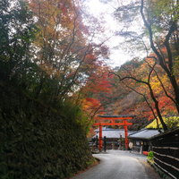 愛宕念仏寺（おたぎねんぶつじ）から参道を下ると見えてくる愛宕神社（あたごじんじゃ）一の鳥居の写真