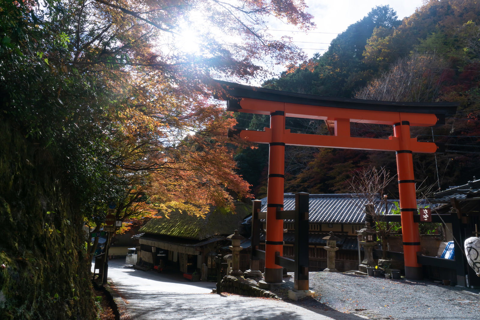 愛宕神社の朱色の鳥居と色づいた紅葉、参道に差し込む陽光