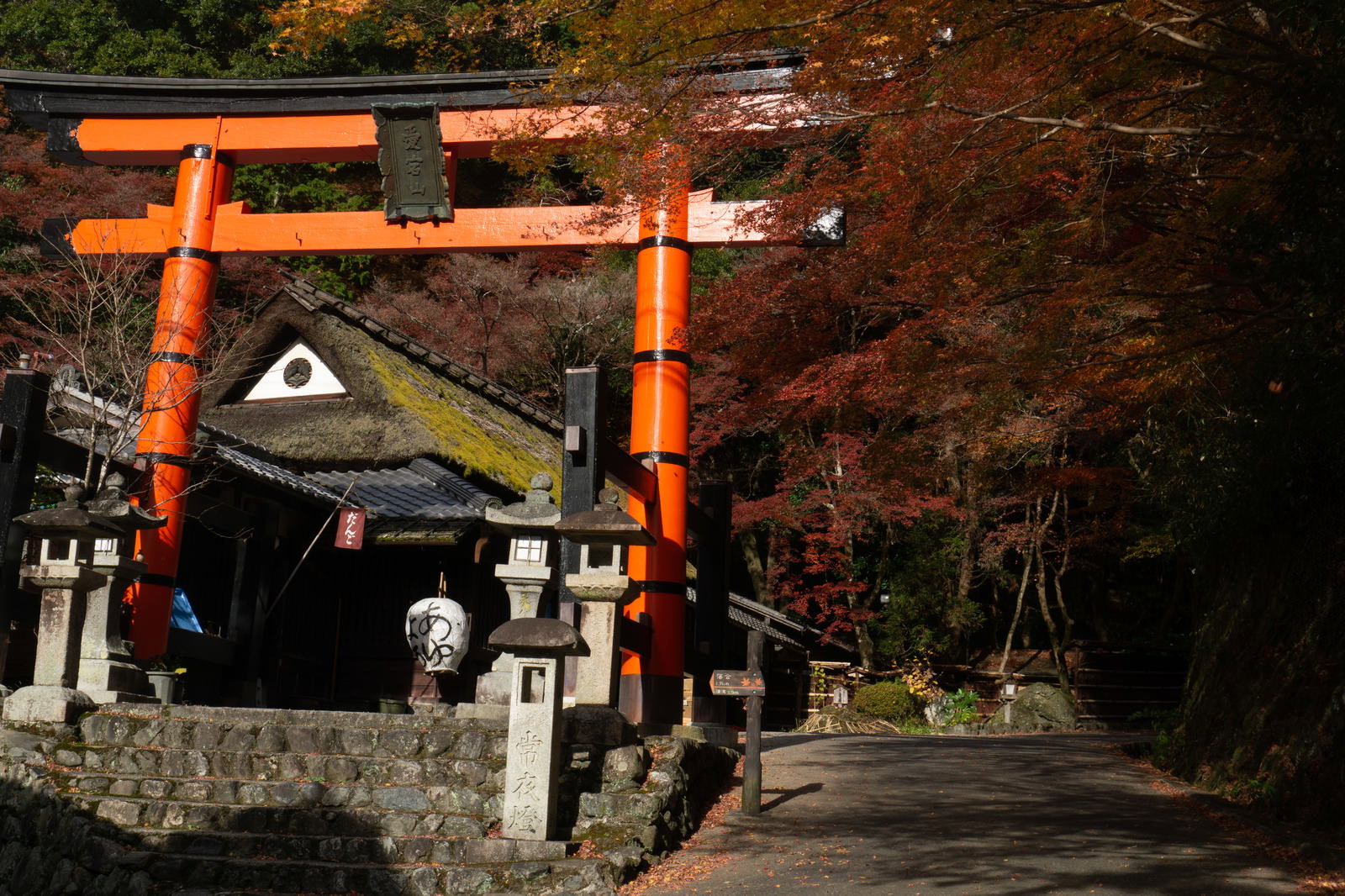 紅葉の見頃な道沿いに建つ愛宕神社の朱色の一の鳥居