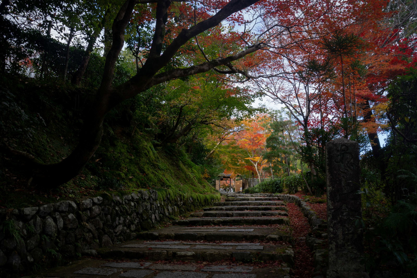 あだしの念仏寺の参道入り口にある石碑と紅葉に囲まれた石段