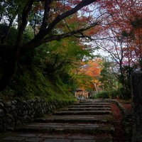あだしの念仏寺の石碑が建つ参道入り口の写真