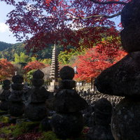 北側から見る紅葉の木々に囲まれた「西院（さい）の河原」とそれを取り囲む無数の五輪塔の写真