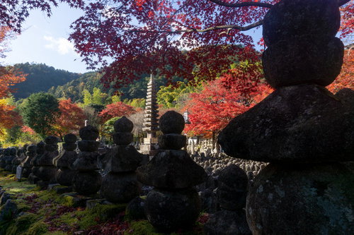 北側から見る紅葉の木々に囲まれた「西院（さい）の河原」とそれを取り囲む無数の五輪塔