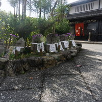 鳥居本の街道の角に並ぶ可愛らしい八体地蔵の写真