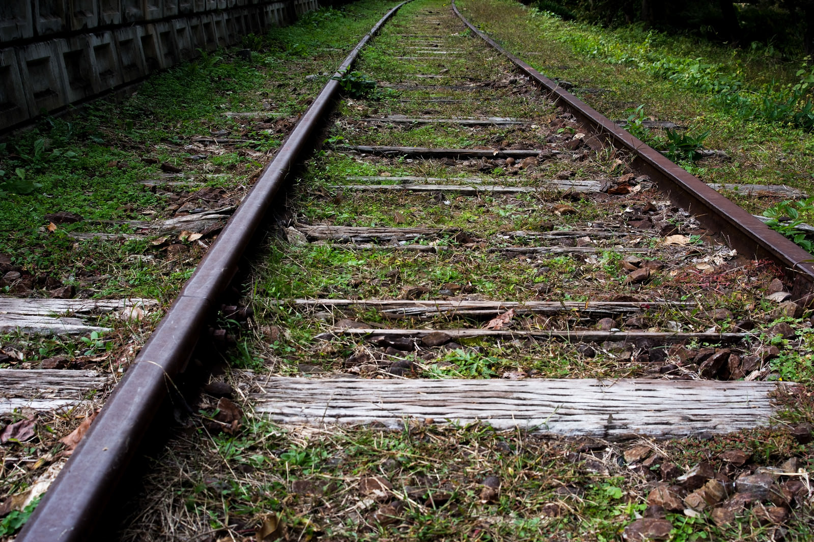 錆びついたレールと朽ちた枕木が続く使われなくなった線路