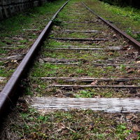 朽ちた枕木と老朽化したレールの写真