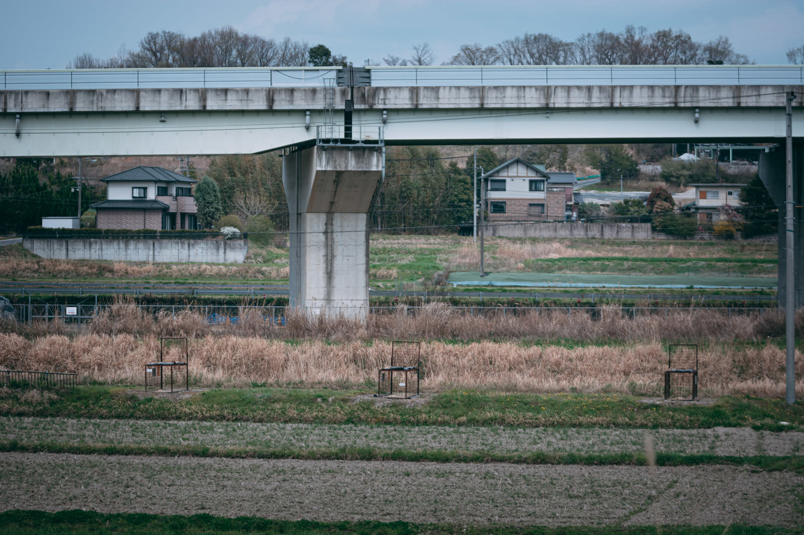 河川の高架橋の下の冬枯れたあぜ道に3つの黒い猪用の罠が並んでいる