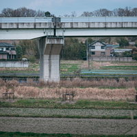 あぜ道に並べられた猪用の罠3つの写真