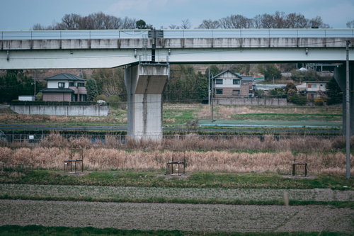 あぜ道に並べられた猪用の罠3つ