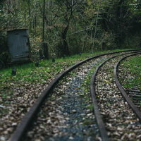 廃線の脇に残る器具箱と草に覆われた線路の写真
