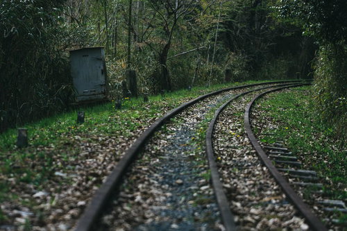 廃線の脇に残る器具箱と草に覆われた線路