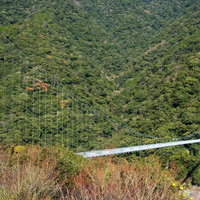 照葉大吊橋（宮崎県東諸県郡綾町）の写真