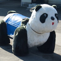 とおりゃんせが流れてきそうなパンダの乗り物の写真