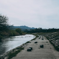 水路横の遊歩道の写真