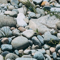 大小様々な石がある河原の写真