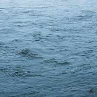 増水して底が見えない川面の写真