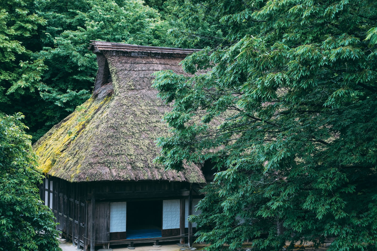 緑豊かな森の中に建つ茅葺屋根の古民家