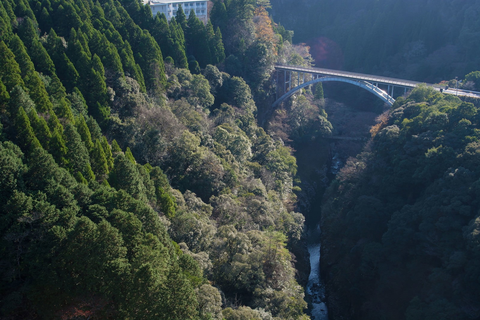 深緑の峡谷を流れる川に架かる白いコンクリート橋