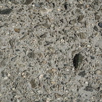 波止場上を歩いていたふなむしの写真