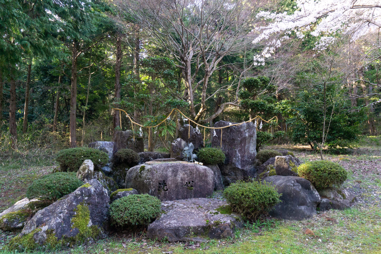 天津神社の境内で樹木と岩に囲まれた屋根のない手水場。岩間の水盤上に綱が張られている