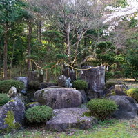 背後の木々と岩に囲まれた屋根の無い手水場の写真