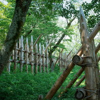 先端が鋭く尖っている丸太で組まれた笹尾山の馬防柵の写真