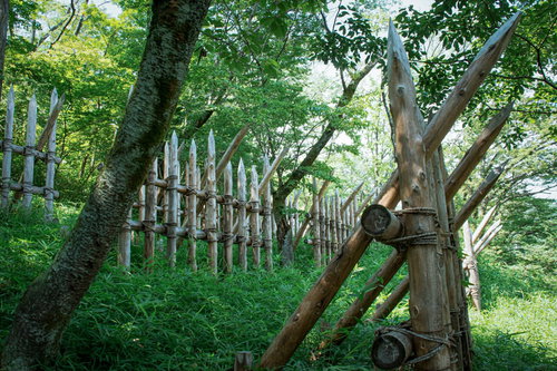 先端が鋭く尖っている丸太で組まれた笹尾山の馬防柵