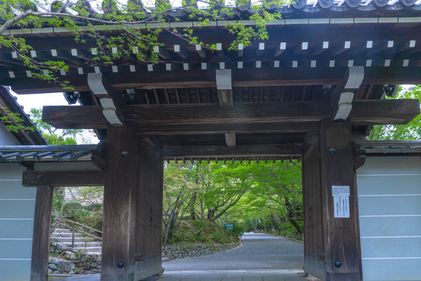 龍安寺の木造山門から望む新緑に包まれた静かな参道