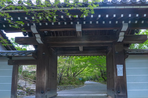 龍安寺山門から見える新緑の参道