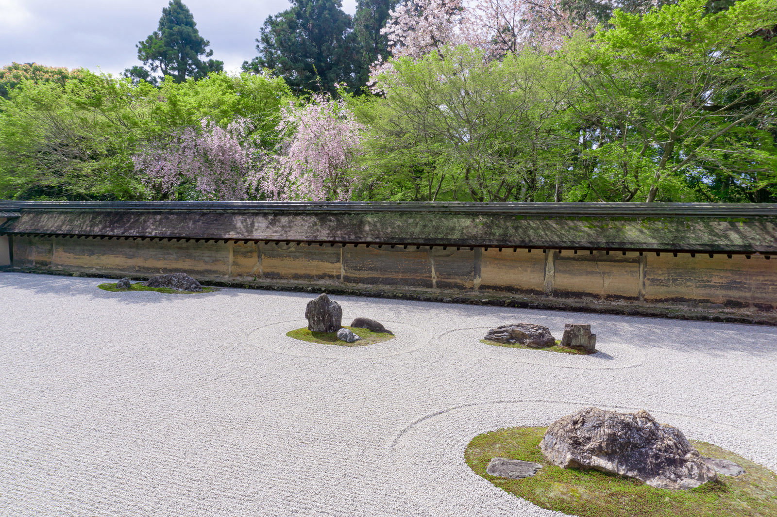 春の日差しを浴びて白く輝く龍安寺の石庭と白砂