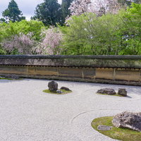 春の日差しに白く輝く石庭の白砂の写真