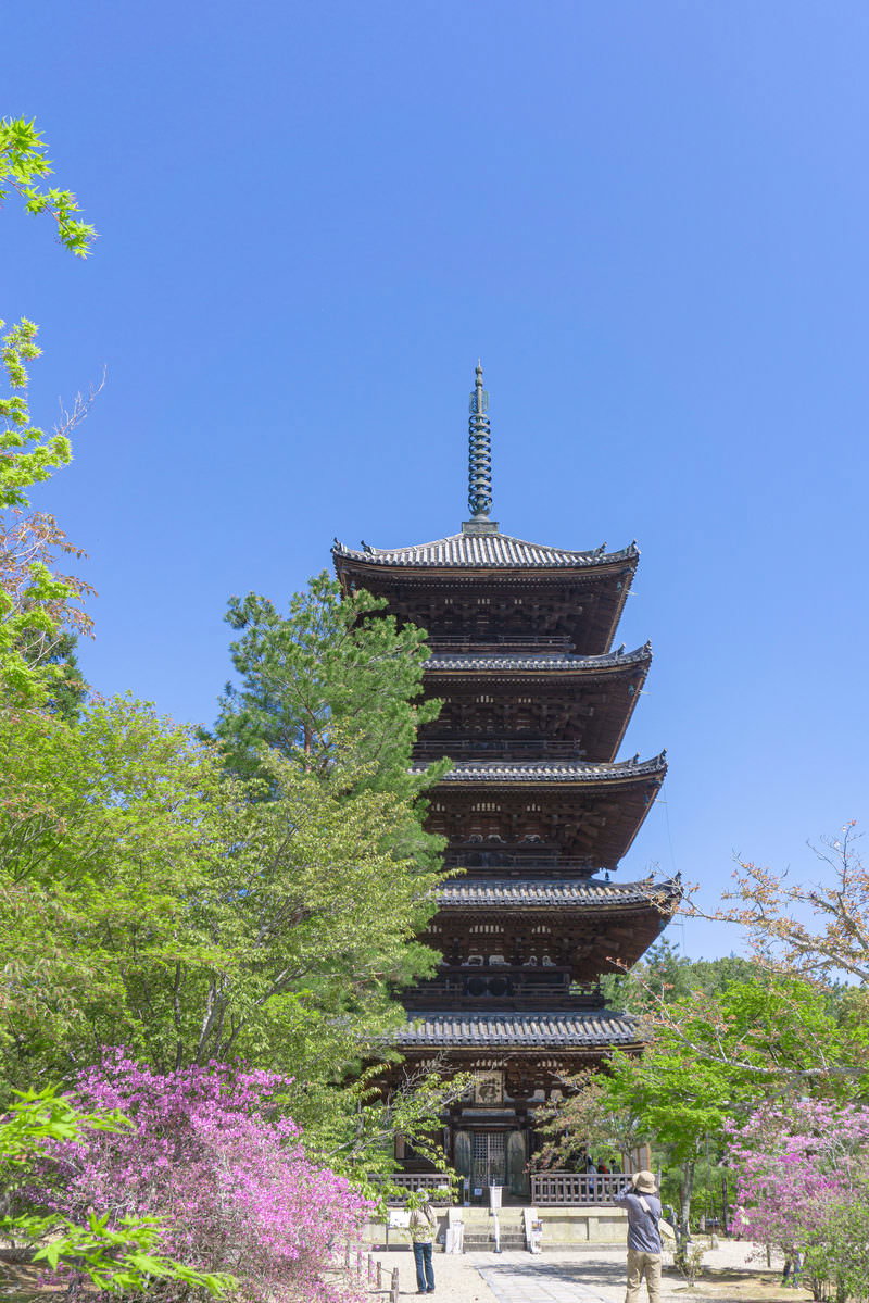青空と新緑に囲まれた仁和寺の五重塔